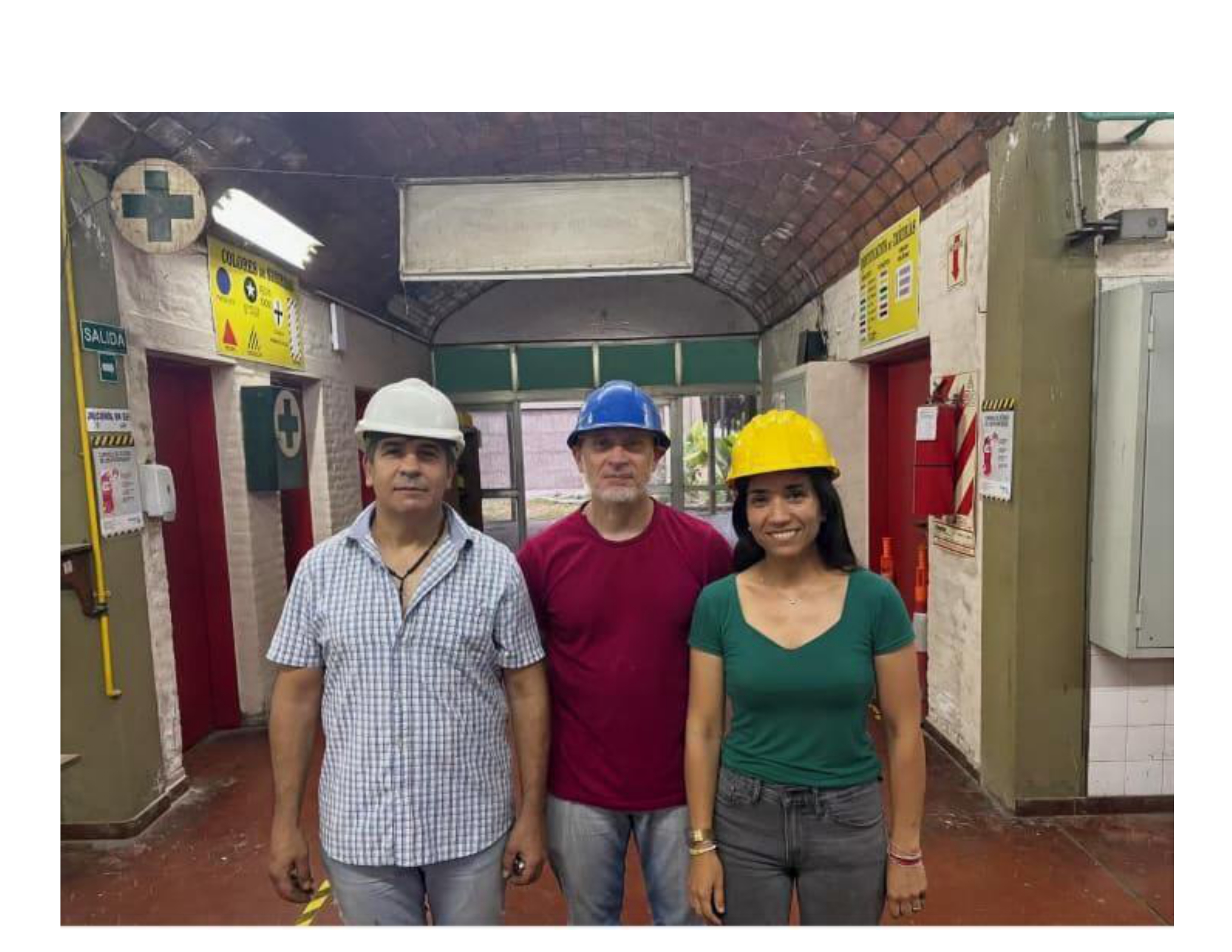 Profesores de la cátedra